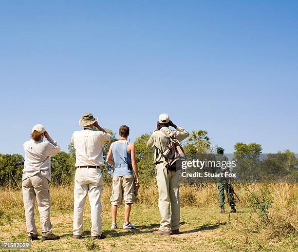 tourists on a safari game walk birdwatching - south luangwa national park stockfoto's en -beelden