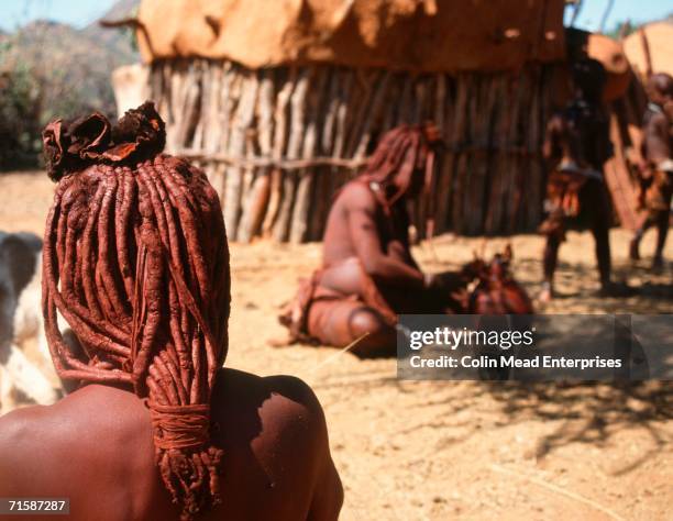himba village scene - himba stockfoto's en -beelden
