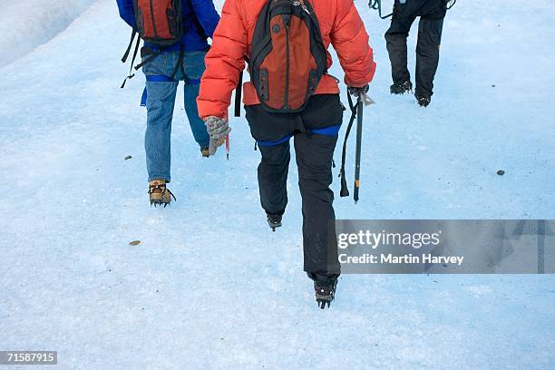 rear view of tourists hiking on glacier grey - grey glacier stock pictures, royalty-free photos & images