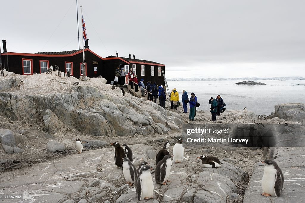 Reflection Tourists and Gentoo Penguin (Pygoscelis papua) Colony at Base A