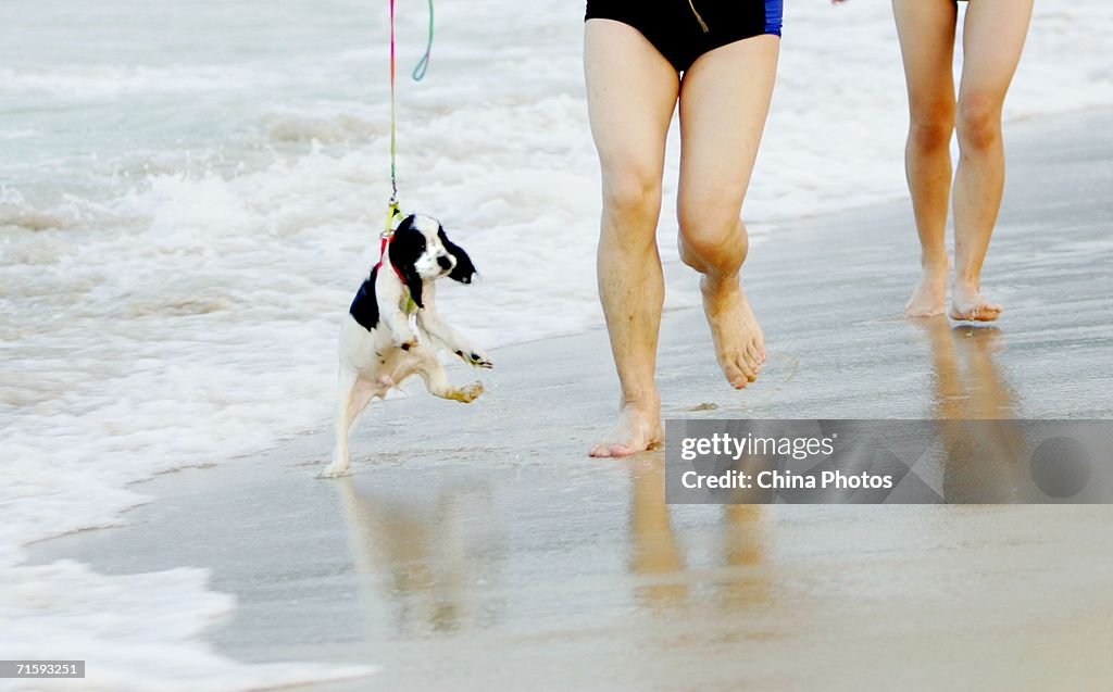 Shenzhen Bathing Beach Thronged With Swimmers