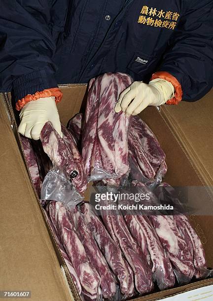 Worker of the Ministry of Agriculture, Forestry and Fisheries inspect the beef imported from the U.S. At New Tokyo International Airport on August 8,...