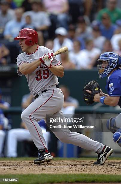 Robb Quinlan of the Los Angeles Angels bats of Anaheim during the game against the Kansas City Royals at Kauffman Stadium on July 23, 2006 in Kansas...