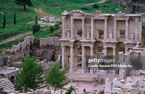 Celcus Celcus Photos and Premium High Res Pictures - Getty Images