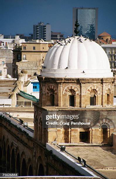cupola on mosque of sidi ben arous, tunis, tunisia - mosque of tunis stock pictures, royalty-free photos & images