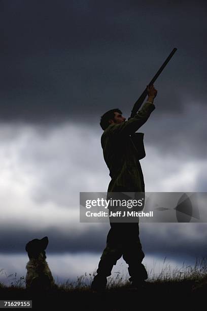 Gamekeeper Andrew Drummond stands with his springer spaniel on Drumochter Moore on the Milton Estate August 11, 2006 Dalwhinnie in Scotland.The Game...