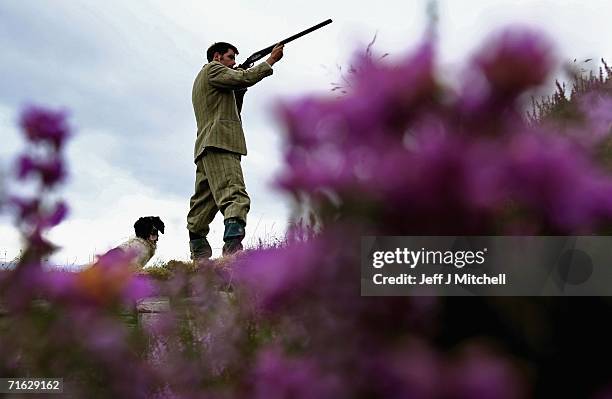 Gamekeeper Andrew Drummond stands with his springer spaniel on Drumochter Moore on the Milton Estate August 11, 2006 Dalwhinnie in Scotland.The Game...