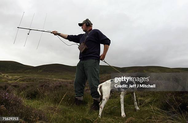 Dr Adam Smith from the Game Conservancy Trust holds his Telemetry Kit for tracking red grouse on Drumochter Moore at the Milton Estate on August 11,...