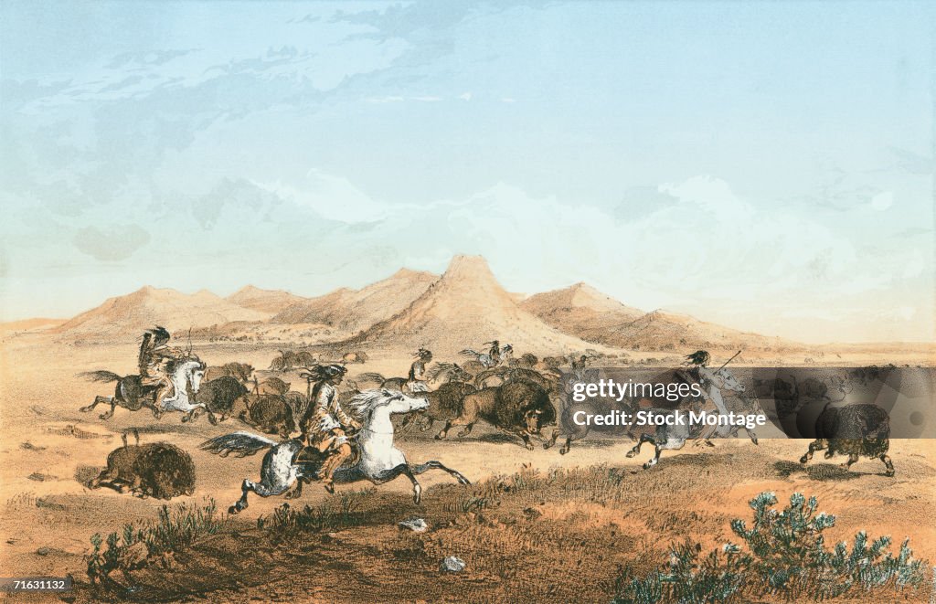 Hunting Buffalo