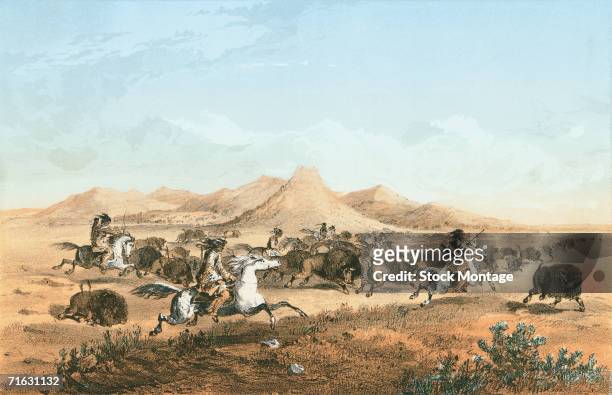 Colorized engraving shows a group of Native Americans from the Blackfoot tribe as they ride their horses among a herd of buffalo durting a hunt,...