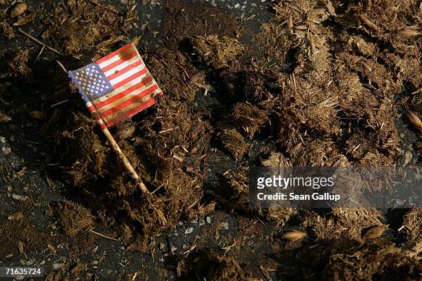 Small U.S. Flag lies in horse droppings along Berlin's central Unter den Linden avenue along the route used by thousands of protesters demonstrating...
