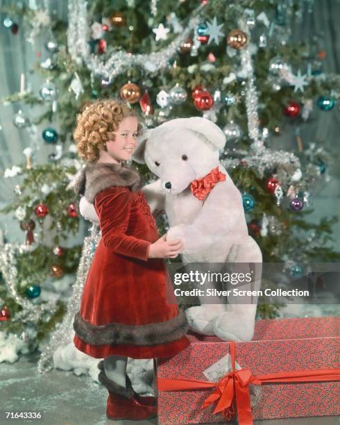 American child star Shirley Temple holding a large teddy bear in front of a Christmas tree, circa 1935.