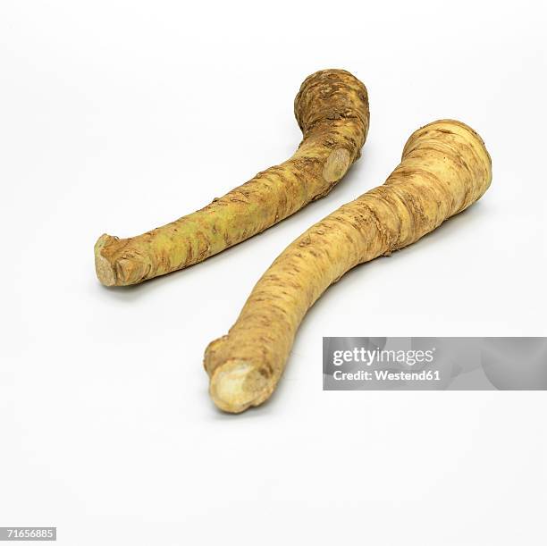 fresh horseradish, close-up - rábano picante fotografías e imágenes de stock