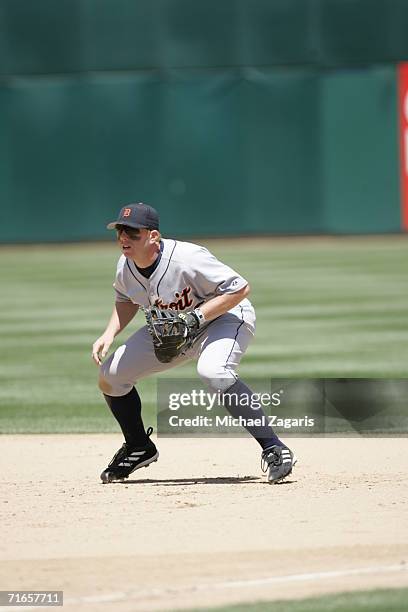 Chris Shelton of the Detroit Tigers fields against the Oakland Athletics at McAfee Coliseum in Oakland, California on July 5, 2006.