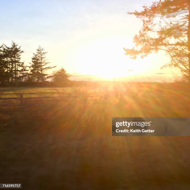 earth day - coupeville stock pictures, royalty-free photos & images