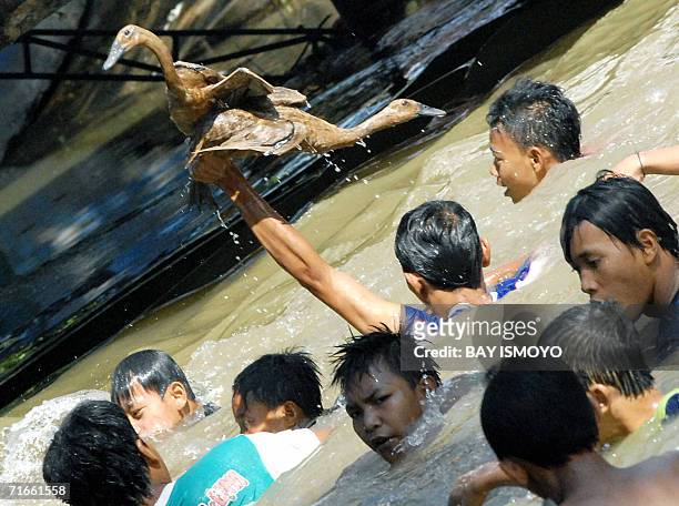 Indonesian boys swim on a river to catch ducks as part of game show in Jakarta, 17 August 2006, to celebrate country's 61st independence day...