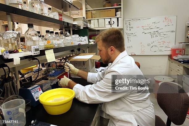 Research assistant and graduate student Jackson Hoffman works on genes that regulate/control stem cell properties/characteristics in the biochemistry...
