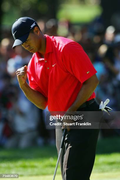 Tiger Woods pumps his fist after sinking a birdie putt on the 11th hole during the final round of the 2006 PGA Championship at Medinah Country Club...