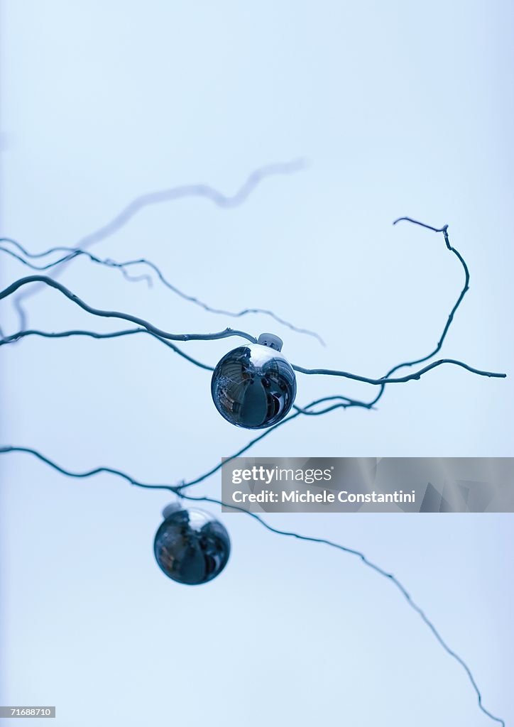 Ornaments on bare branches