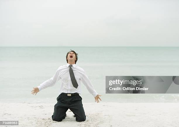 businessman down on knees, screaming, on beach - mad person picture stock-fotos und bilder