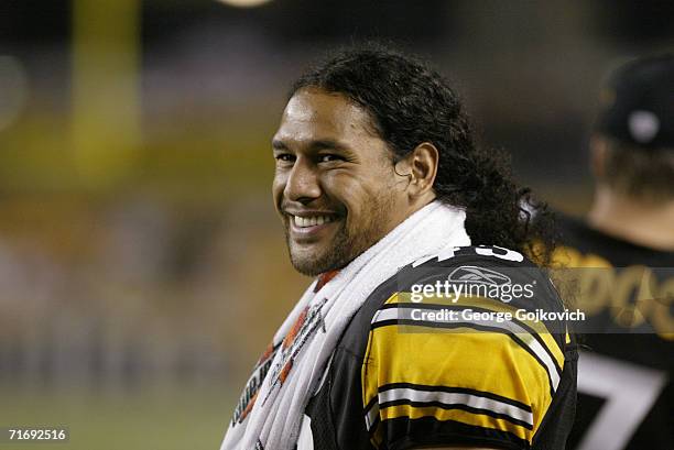 Defensive back Troy Polamalu of the Pittsburgh Steelers smiles while standing on the sideline during a game against the Minnesota Vikings at Heinz...