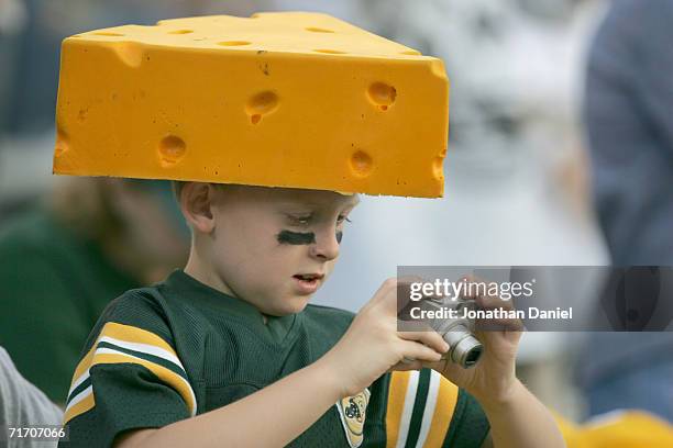 Green Bay Packers fan looks at the photograph he just snapped, during the preseason game against the Atlanta Falcons on August 19, 2006 at Lambeau...