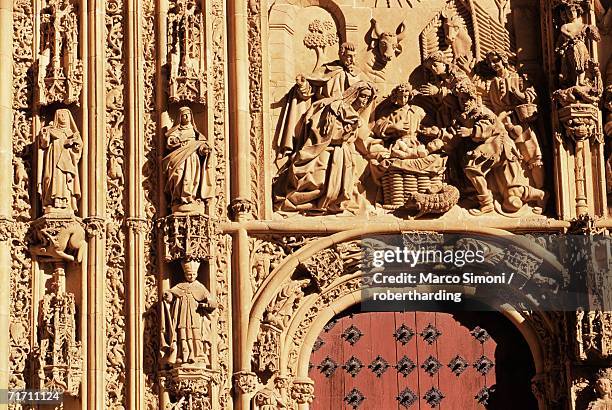 detail of the puerta del nacimiento (renaissance doorway) of the catedral nueva (new cathedral), salamanca, castilla y leon (old castile), spain, europe - nacimiento stock pictures, royalty-free photos & images