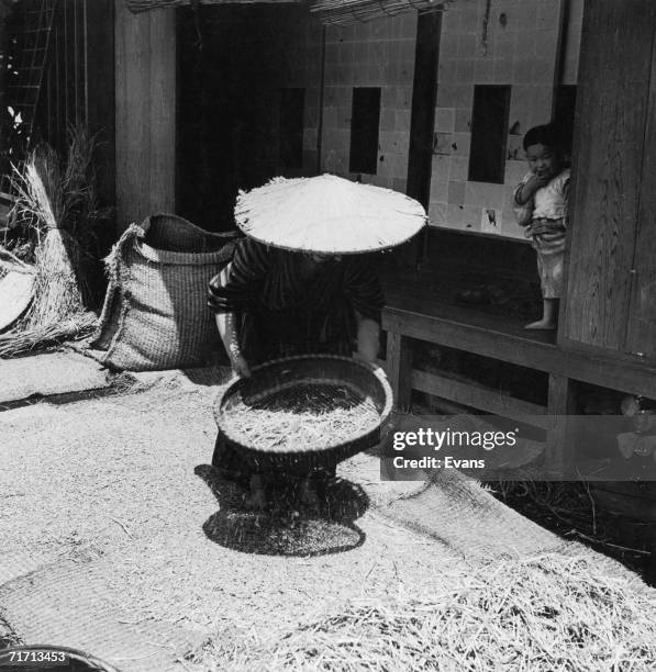 Using A Sieve For Rice 195 Sieving Rice Stock Photos, High-Res Pictures, and Images - Getty Images