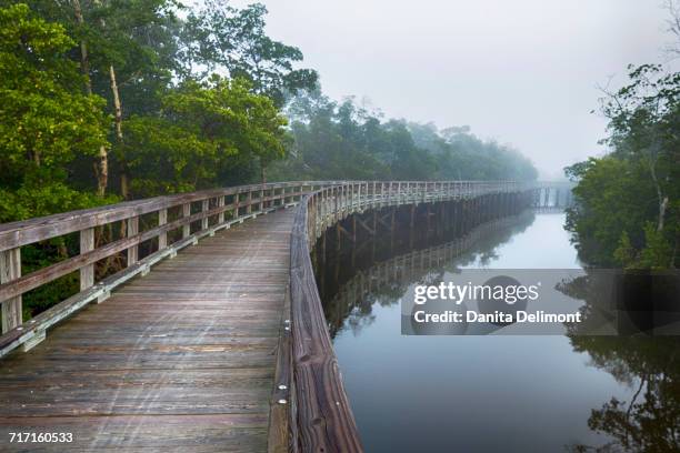 wooden boardwalk at robinson preserve, bradenton, florida, usa - bradenton stock pictures, royalty-free photos & images