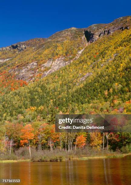 autumn hardwood forest and pond beneath mt. webster, white mountains, crawford notch state park, new hampshire, usa - crawford notch stock-fotos und bilder