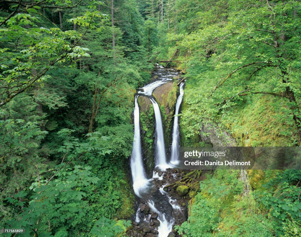 Triple Falls (or Oneonta Creek) in Columbia River Gorge, Oregon, USA