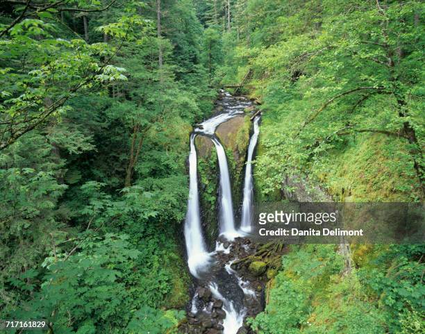 triple falls (or oneonta creek) in columbia river gorge, oregon, usa - oneonta gorge stock pictures, royalty-free photos & images