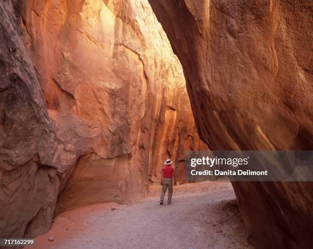 slot canyon at dry fork coyote gulch, dry fork narrows, grand staircase escalante nm, utah, usa - national recreation area stock-fotos und bilder