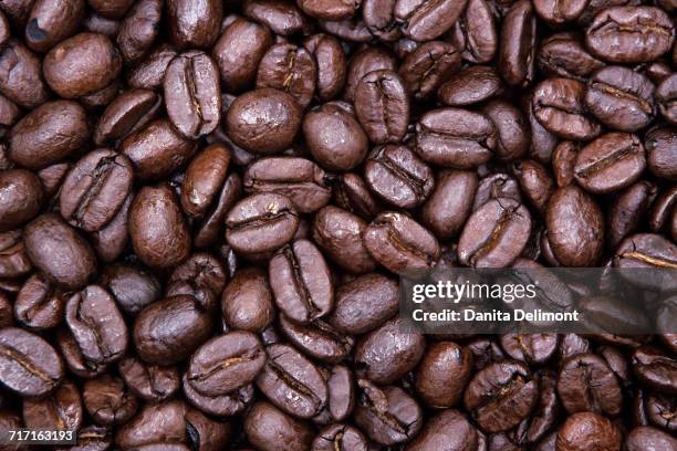 close-up of coffee beans, redmond, washington state, usa - redmond washington state stock pictures, royalty-free photos & images