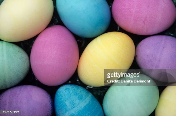 close-up of colored eggs, redmond, washington state, usa - redmond washington state photos et images de collection
