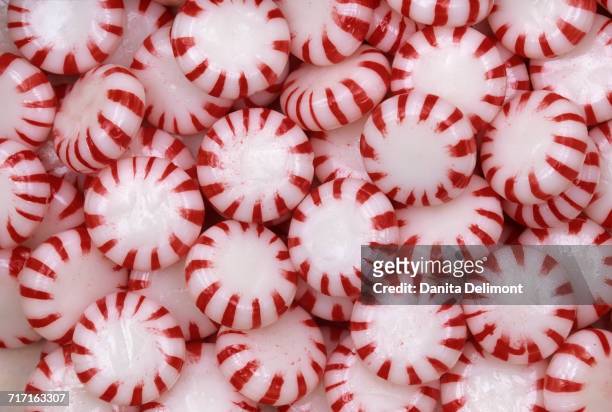 close-up of peppermints, redmond, washington state, usa - redmond washington state photos et images de collection