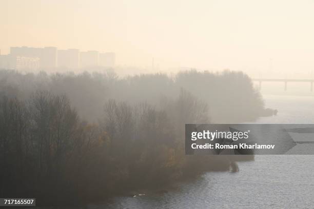 ukraine, dnepropetrovsk, forest and river at foggy dawn - dnipro photos et images de collection
