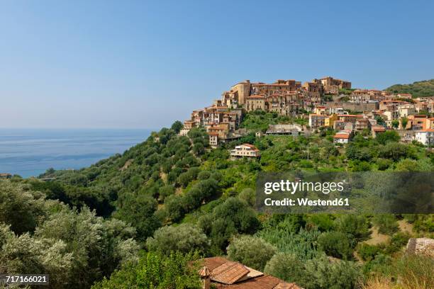 italy, campania, province of salerno, cilento national park, mountain village pisciotta - mountain village stock pictures, royalty-free photos & images