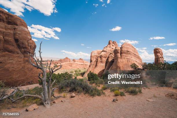usa, utah, arches national park, devils garden trail - devils garden arches national park stockfoto's en -beelden