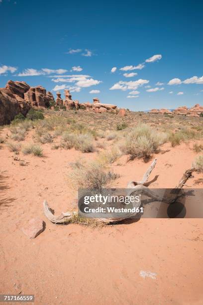 usa, utah, arches national park, devils garden trail - devils garden arches national park stockfoto's en -beelden