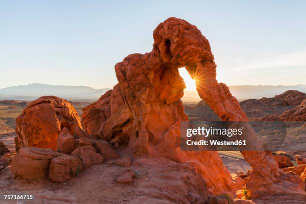 usa, nevada, valley of fire state park, elephant rock, sandstone and limestone rocks - valley of fire state park stock pictures, royalty-free photos & images