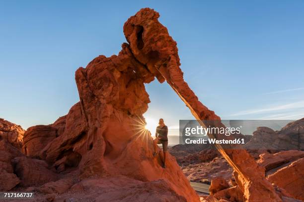 usa, nevada, valley of fire state park, tourist at elephant rock, sandstone and limestone rocks - nevada stock pictures, royalty-free photos & images