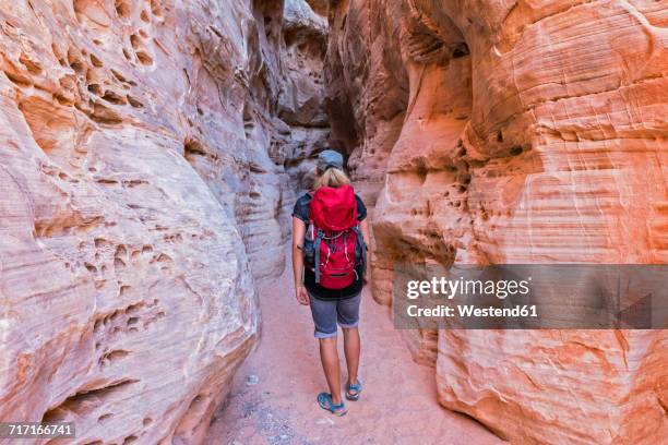 usa, nevada, valley of fire state park, sandstone and limestone rocks, tourist in narrow passageway - valley of fire state park stock pictures, royalty-free photos & images