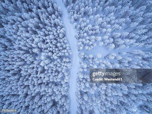 austria, gosau, aerial view of road through coniferous forest in winter - berge schnee stock-fotos und bilder