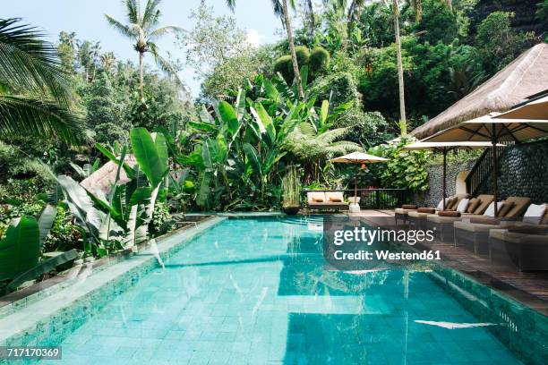 indonesia, bali, tropical swimming pool - bali luxury stock pictures, royalty-free photos & images