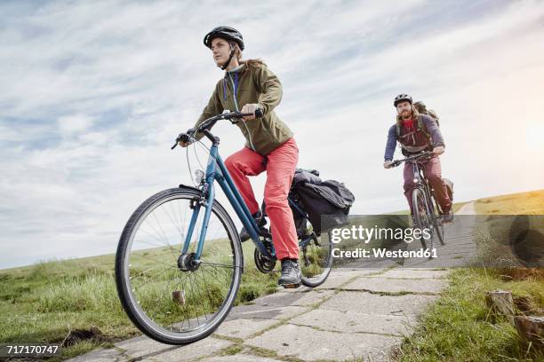 germany, schleswig-holstein, eiderstedt, couple riding bicycle through salt marsh - north frisia stock pictures, royalty-free photos & images