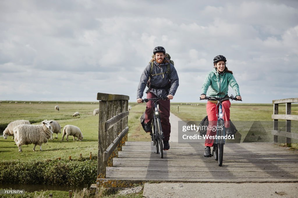 Germany, Schleswig-Holstein, Eiderstedt, couple on bicycles crossing bridge on path through salt marsh