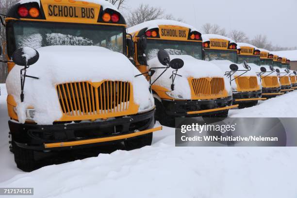 Bus Snow Rails 234 New England Snow Bus Stock Photos, High-Res Pictures, and Images ...