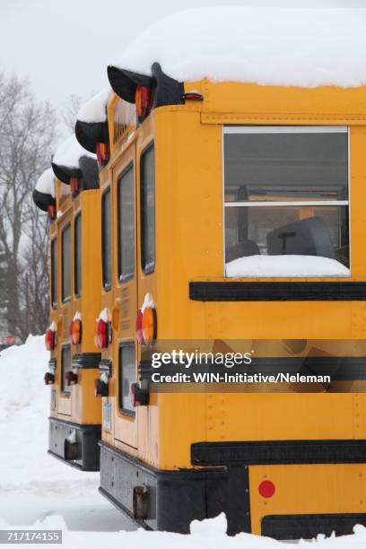 Bus Snow Rails 234 New England Snow Bus Stock Photos, High-Res Pictures, and Images ...