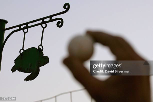 About two months after a nest of loggerhead turtle eggs was transplanted to a protected hatchery, and after three nights of natural hatchings,...